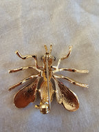 Brocha de avispa