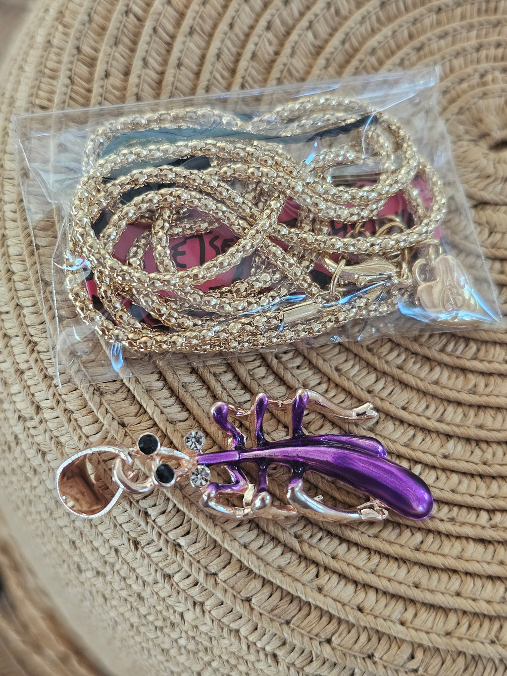 Colgante forma de un incecto,  con cadena