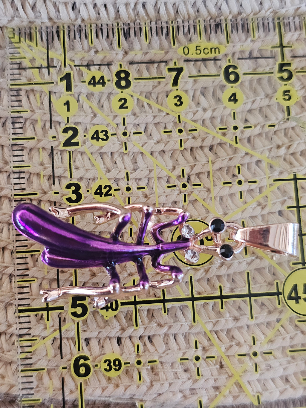 Colgante forma de un incecto,  con cadena