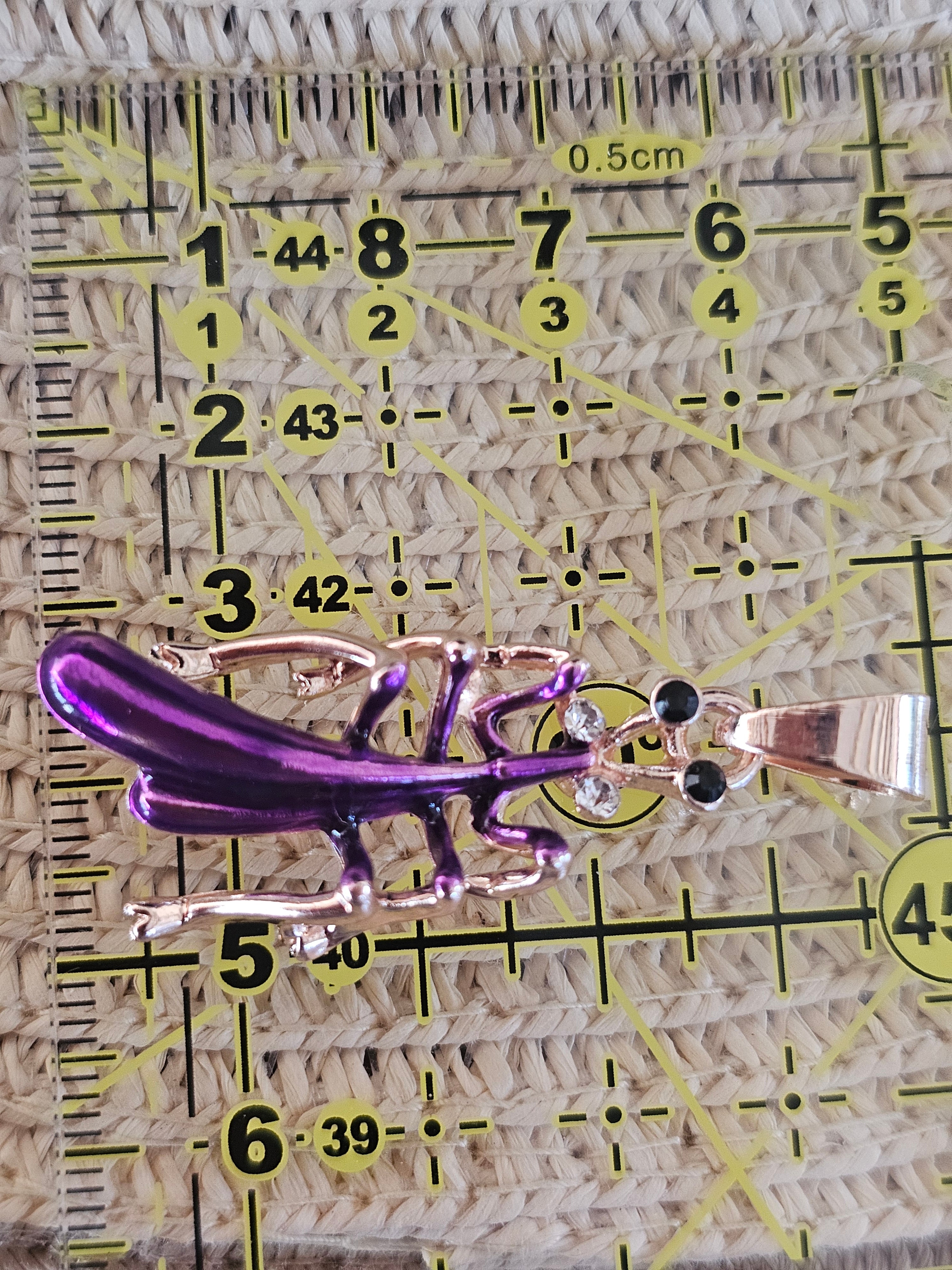 Colgante forma de un incecto,  con cadena