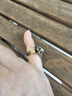 Cóctel anillo de una tortuga con su bebé