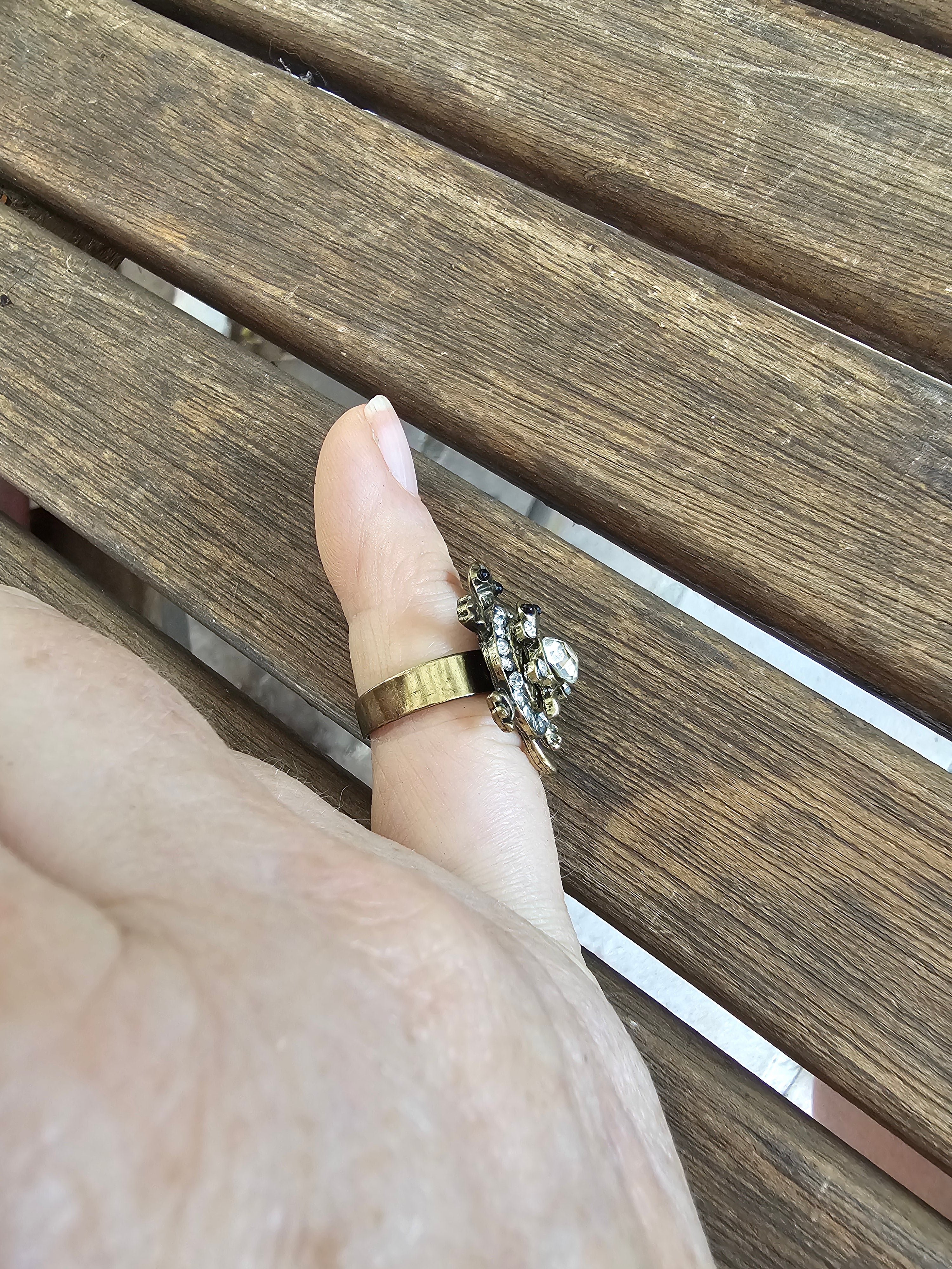 Cóctel anillo de una tortuga con su bebé
